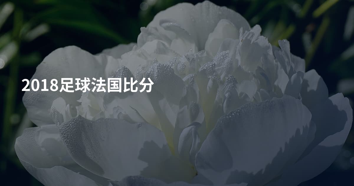 2018足球法国比分