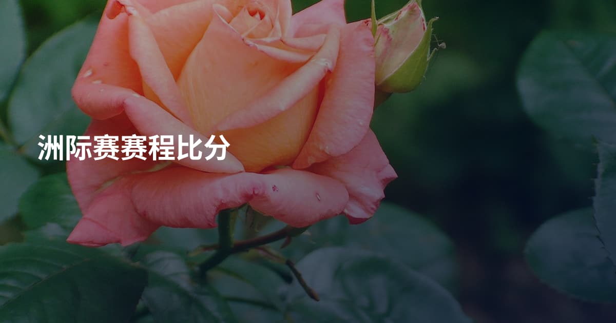 洲际赛赛程比分