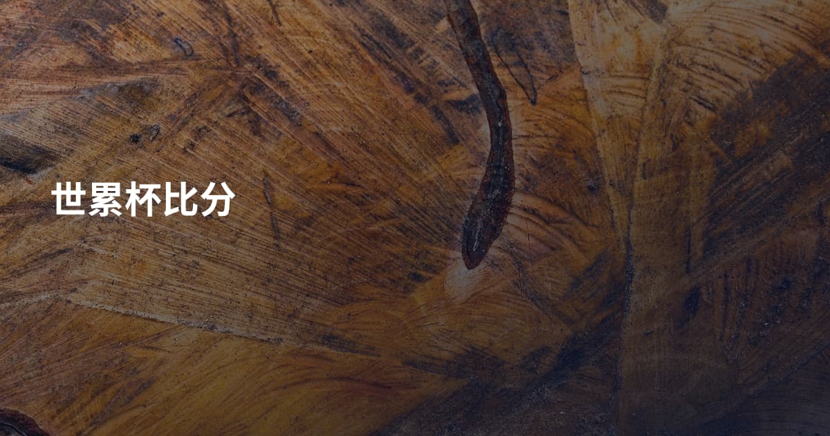 世累杯比分