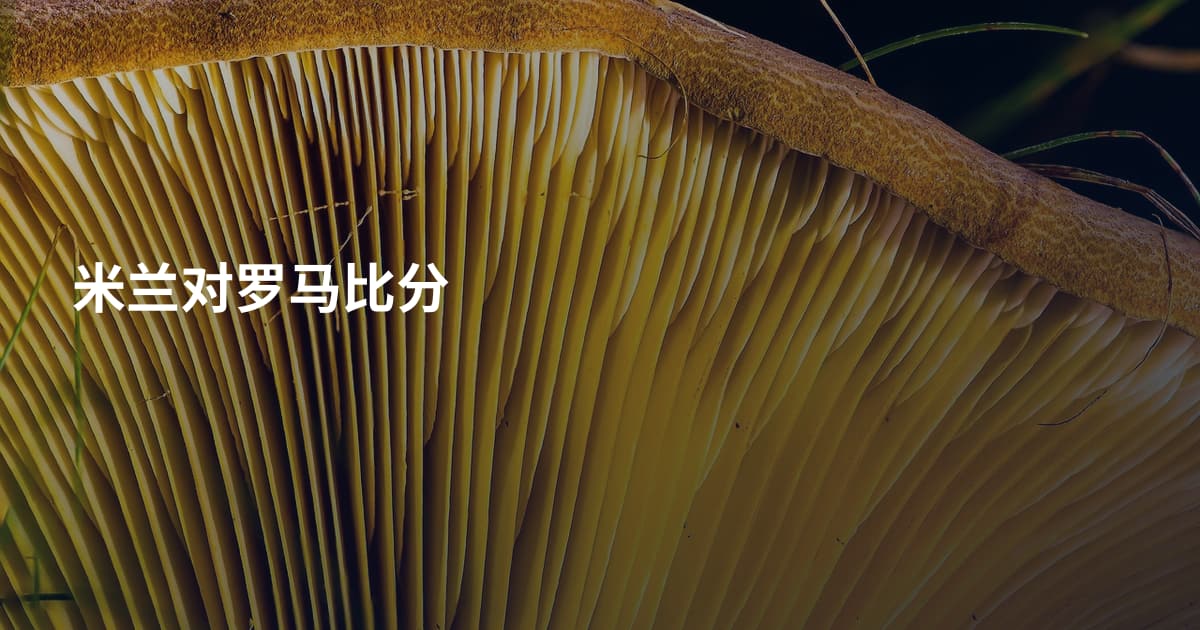 米兰对罗马比分