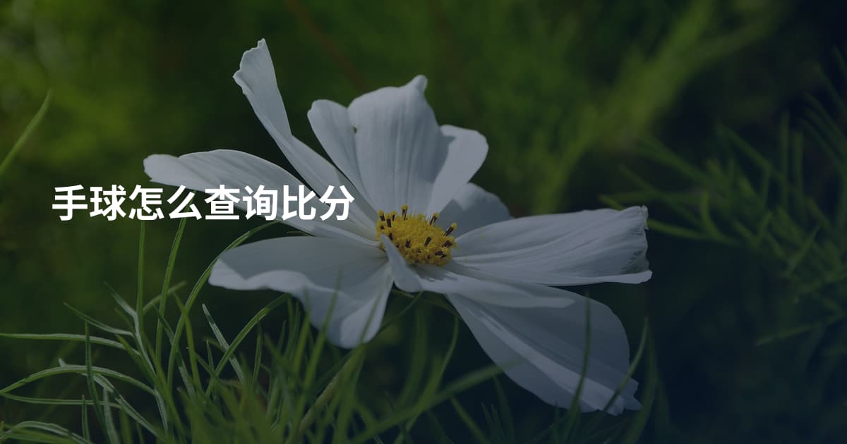手球怎么查询比分