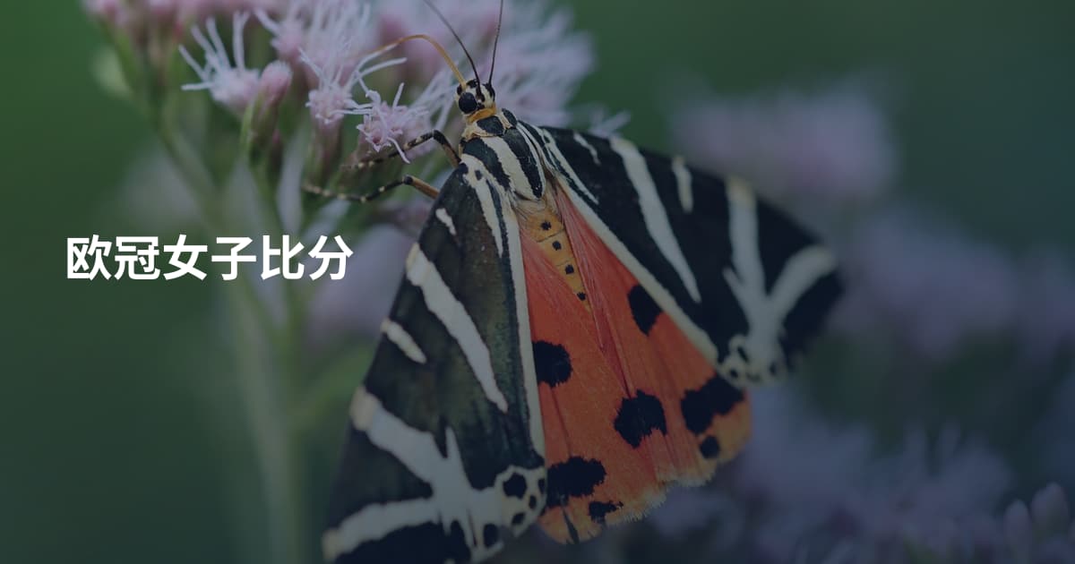 欧冠女子比分