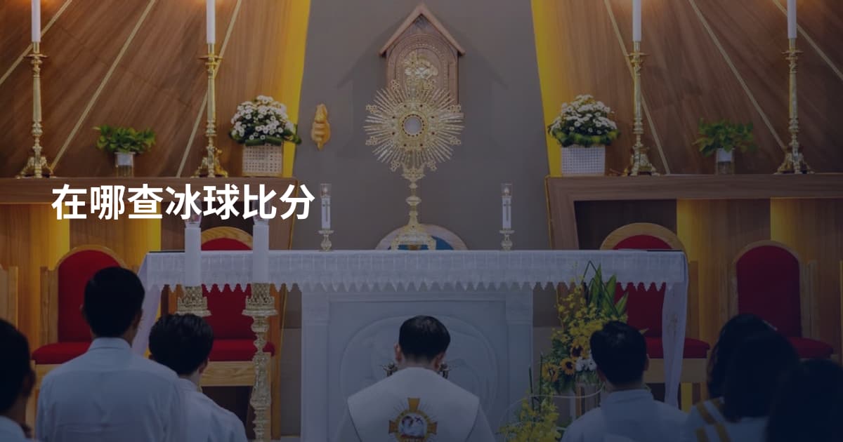 在哪查冰球比分