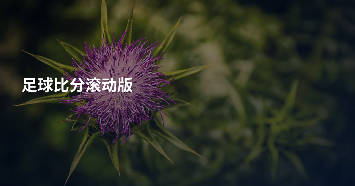 足球比分滚动版