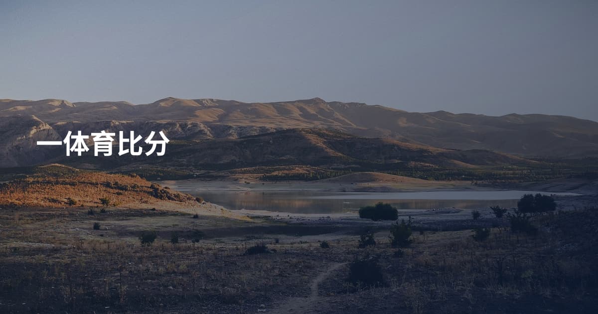 一体育比分