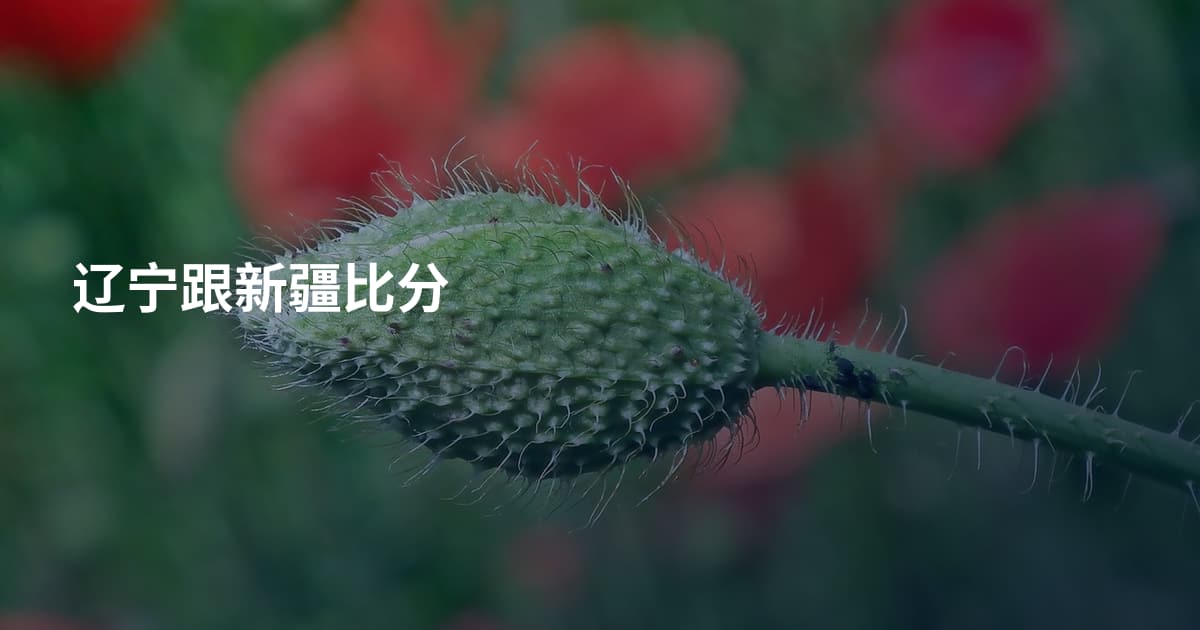 辽宁跟新疆比分