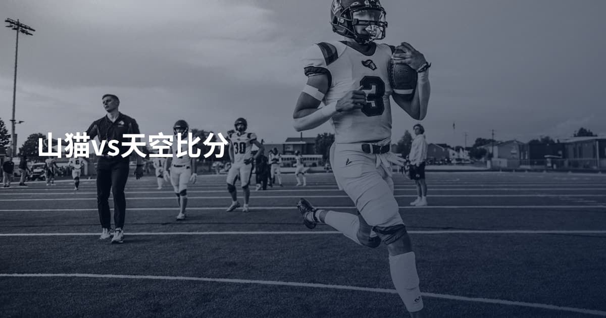 山猫vs天空比分