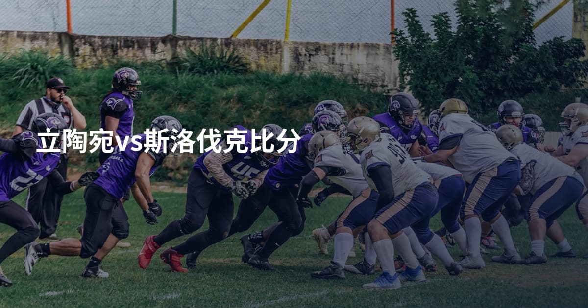 立陶宛vs斯洛伐克比分