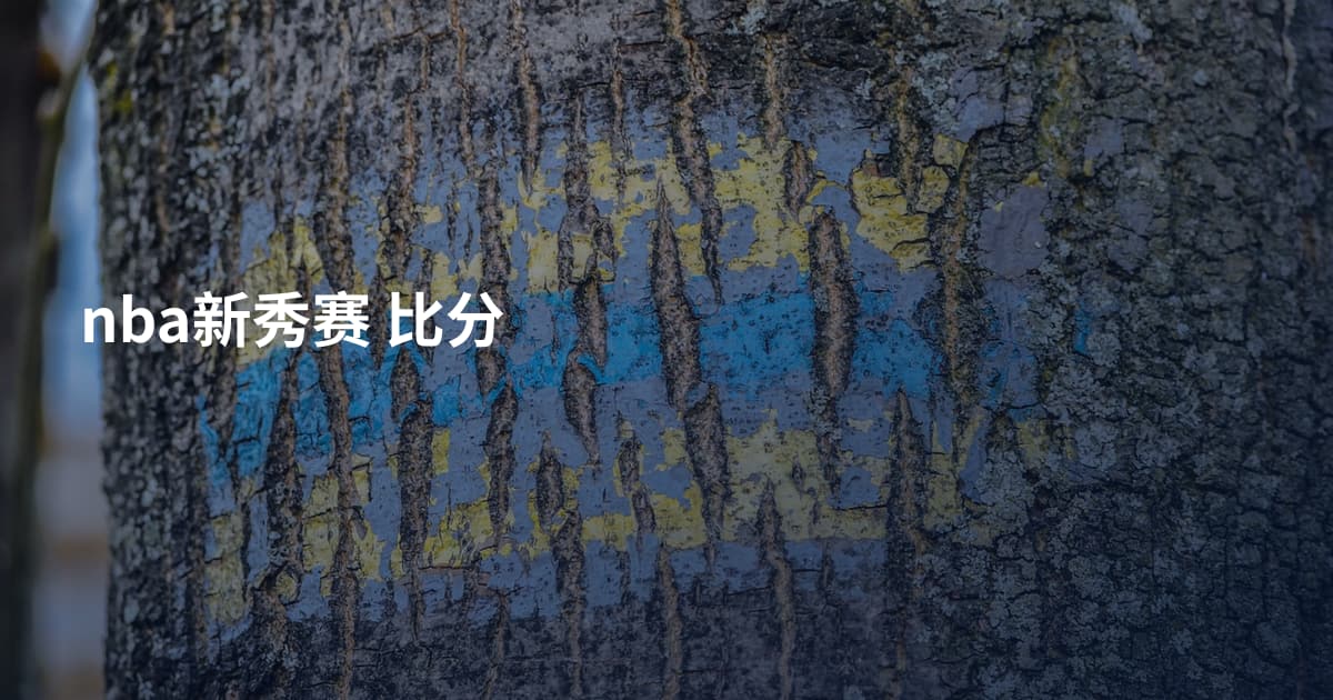 nba新秀赛 比分