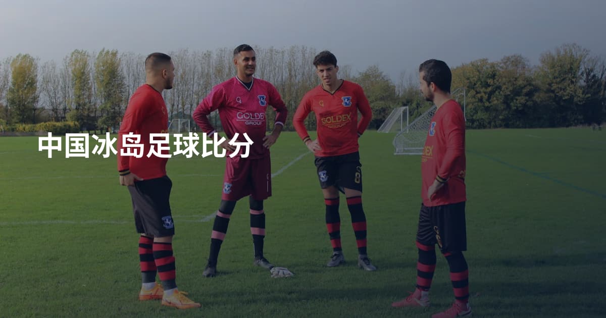 中国冰岛足球比分