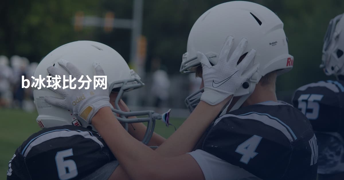 b冰球比分网