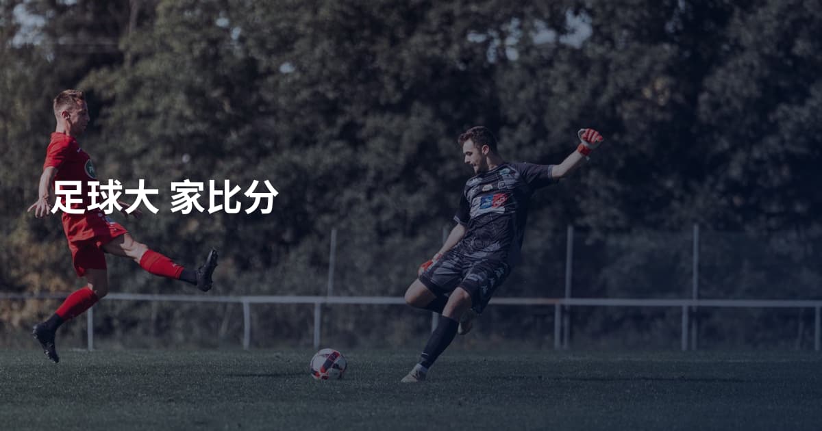 足球大 家比分