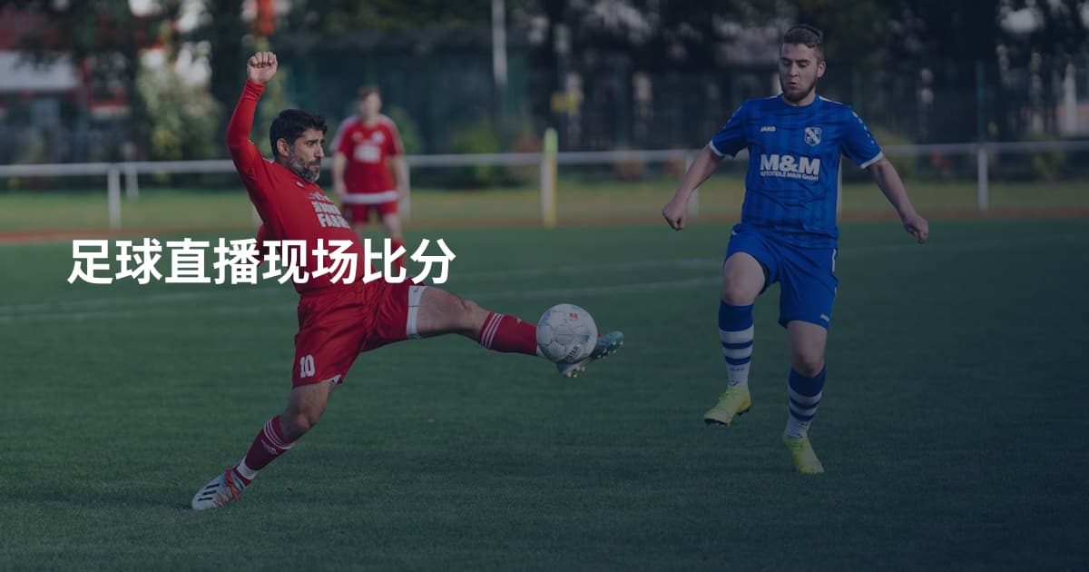 足球直播现场比分