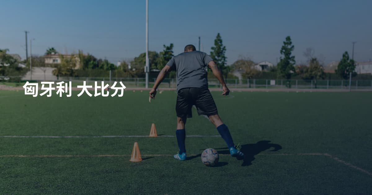 匈牙利 大比分