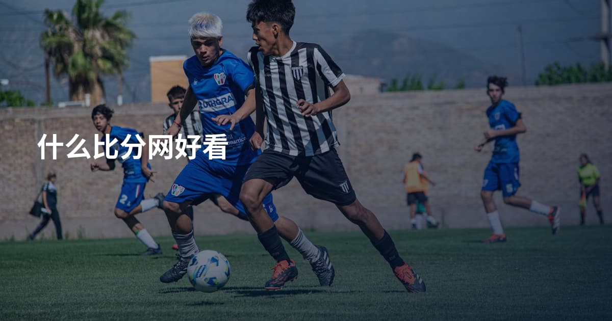什么比分网好看