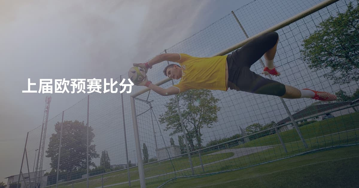 上届欧预赛比分