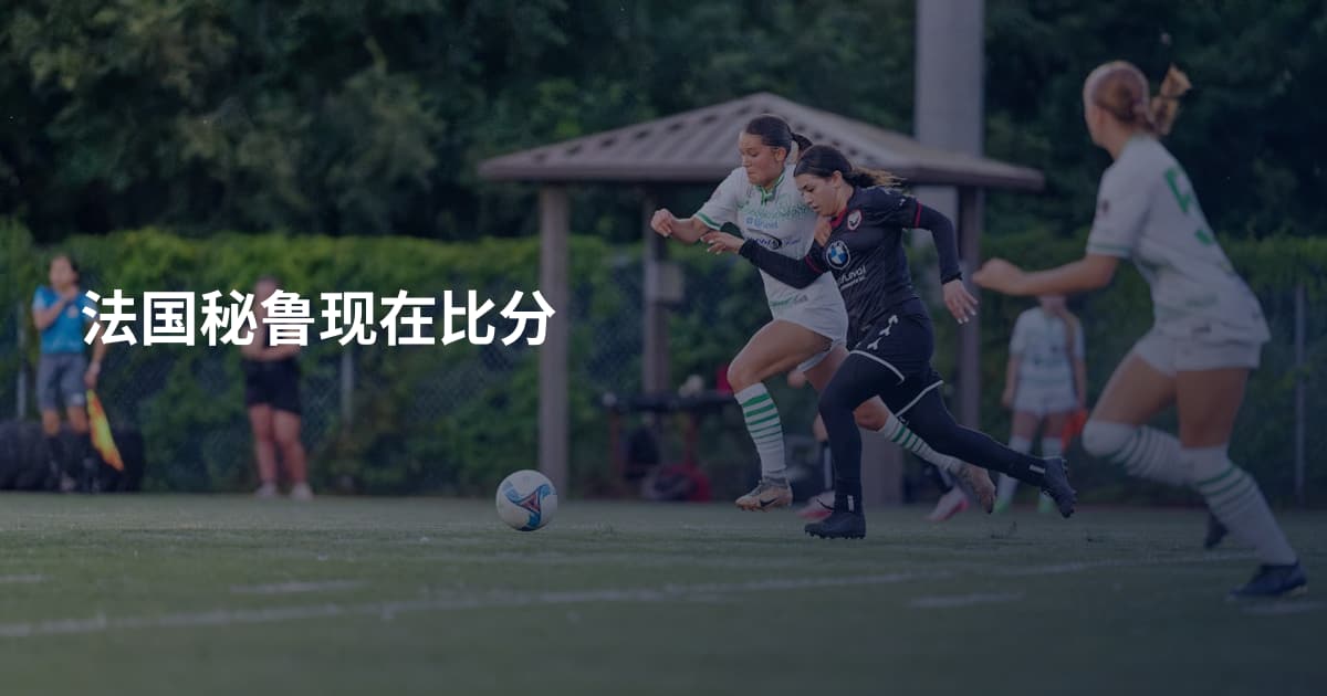 法国秘鲁现在比分