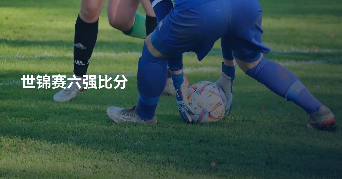世锦赛六强比分