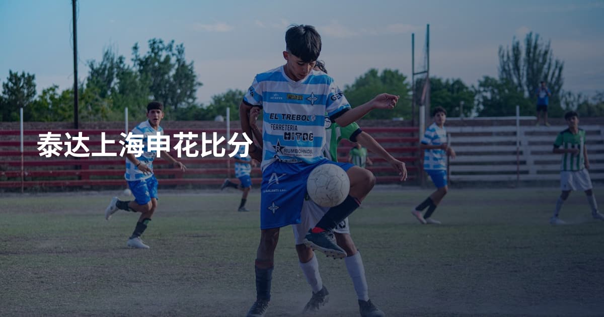 泰达上海申花比分