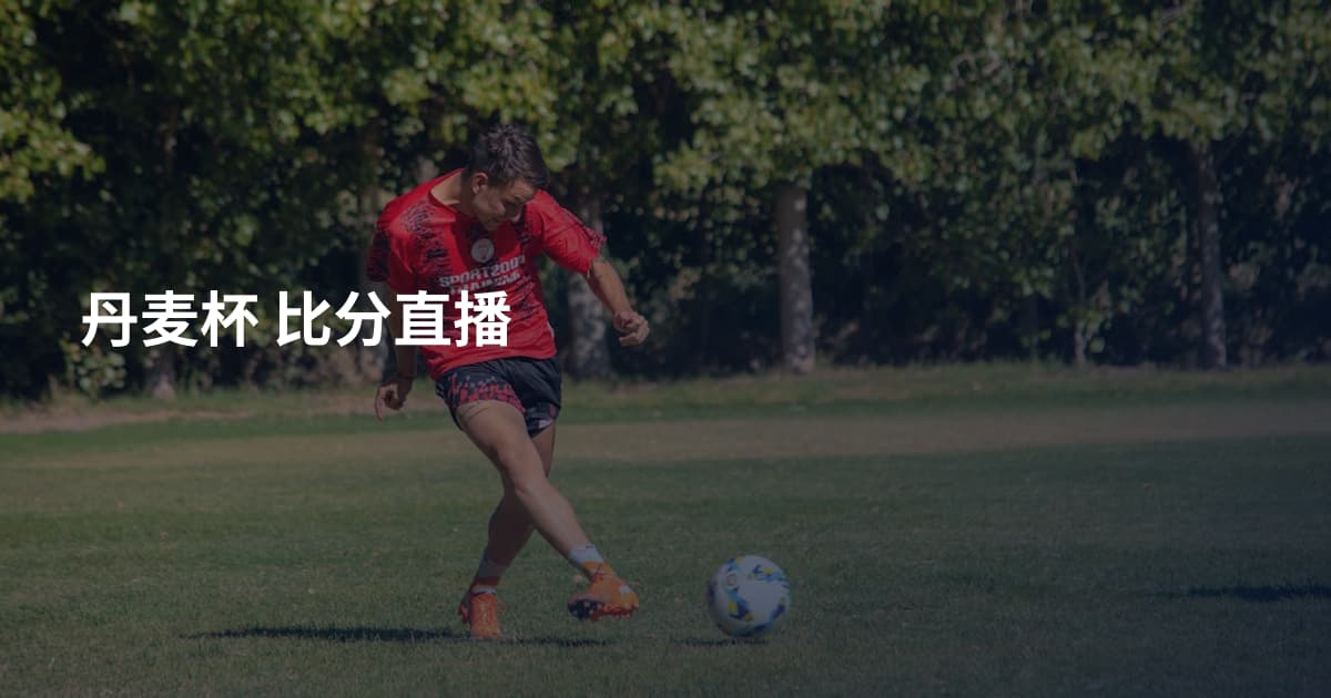 丹麦杯 比分直播