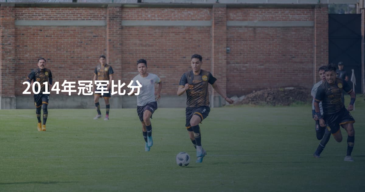 2014年冠军比分