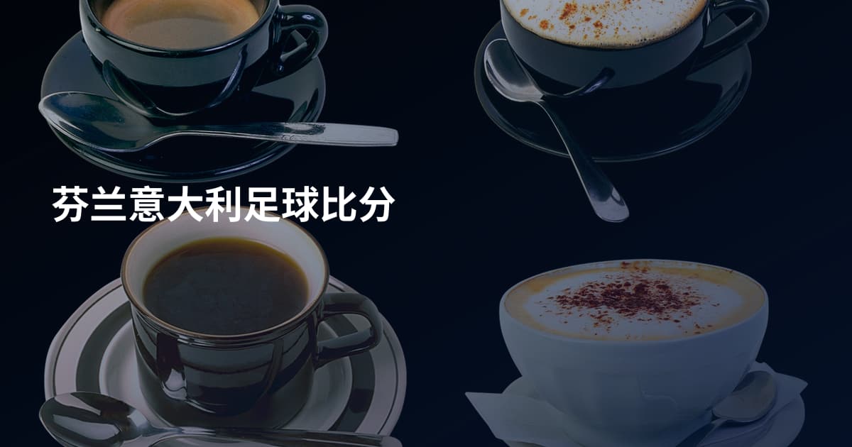 芬兰意大利足球比分