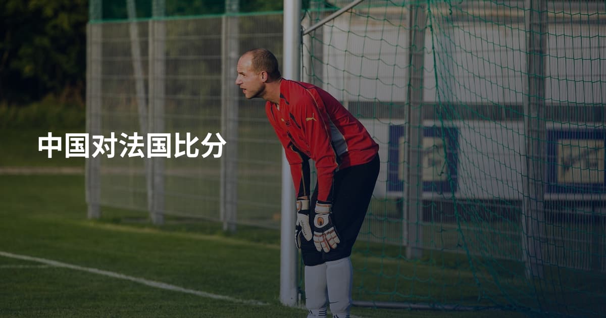 中国对法国比分
