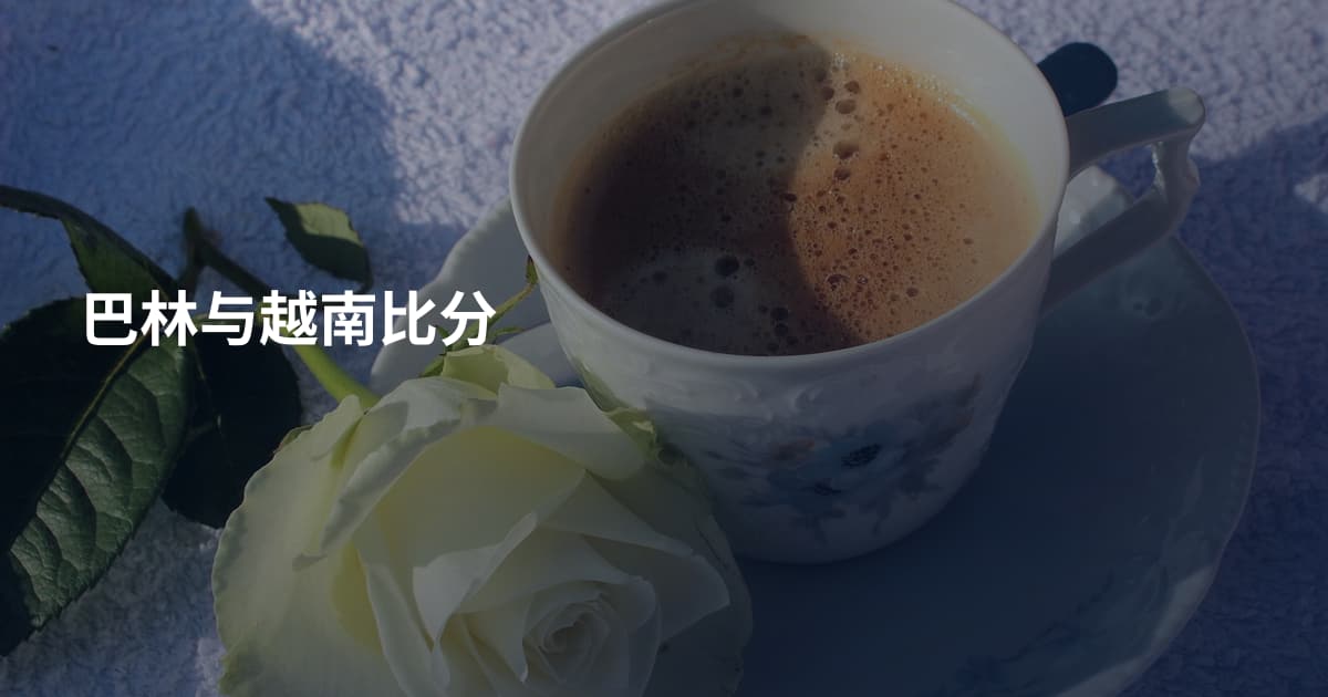 巴林与越南比分