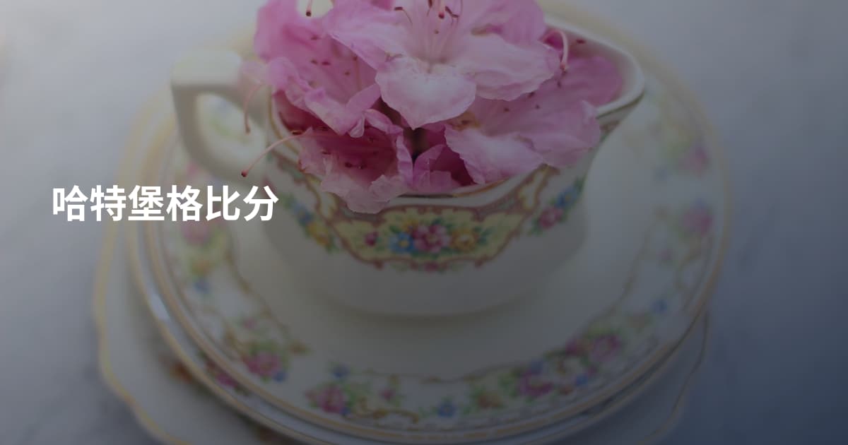 哈特堡格比分