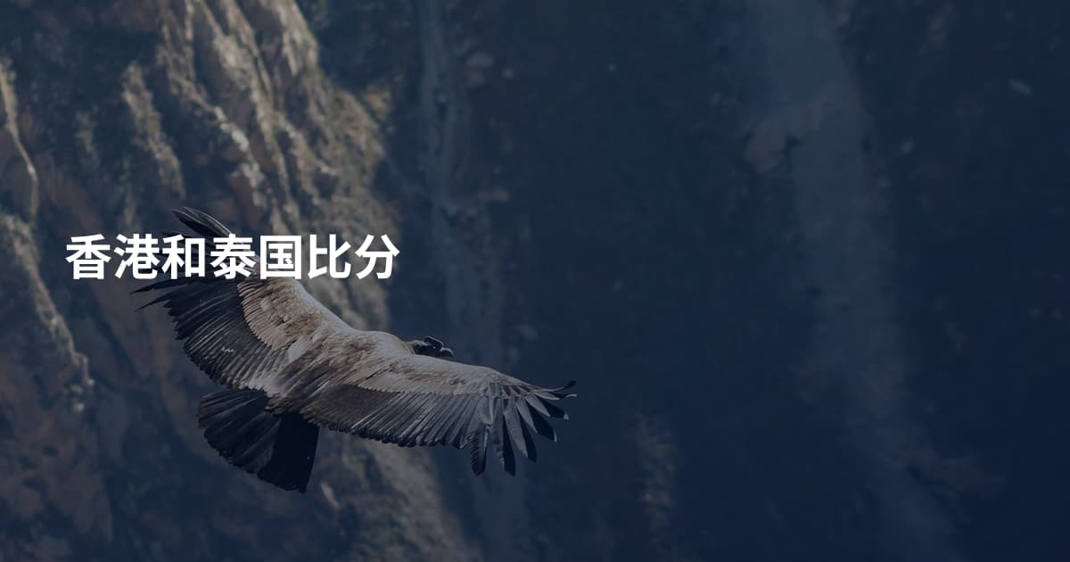 香港和泰国比分