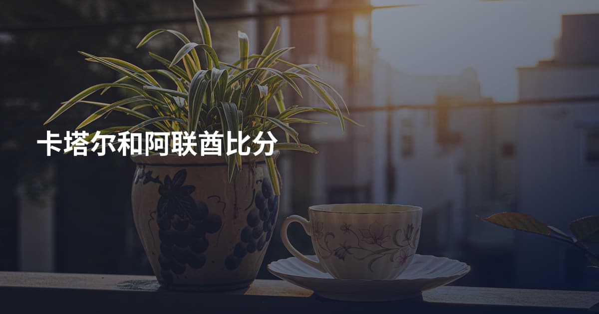 卡塔尔和阿联酋比分