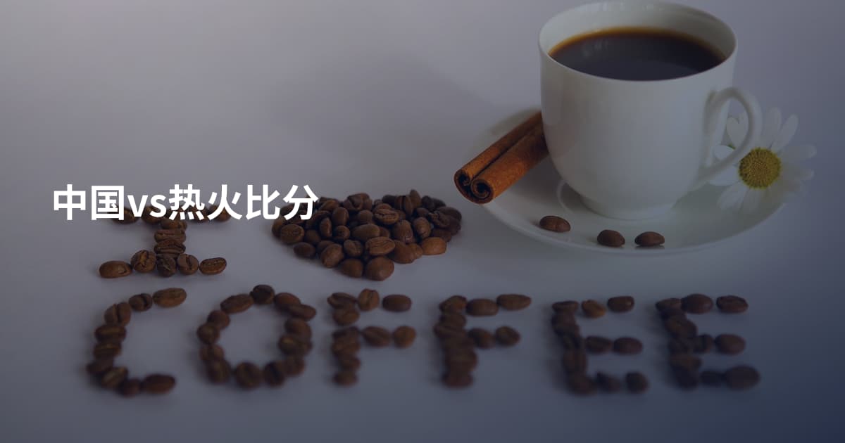 中国vs热火比分