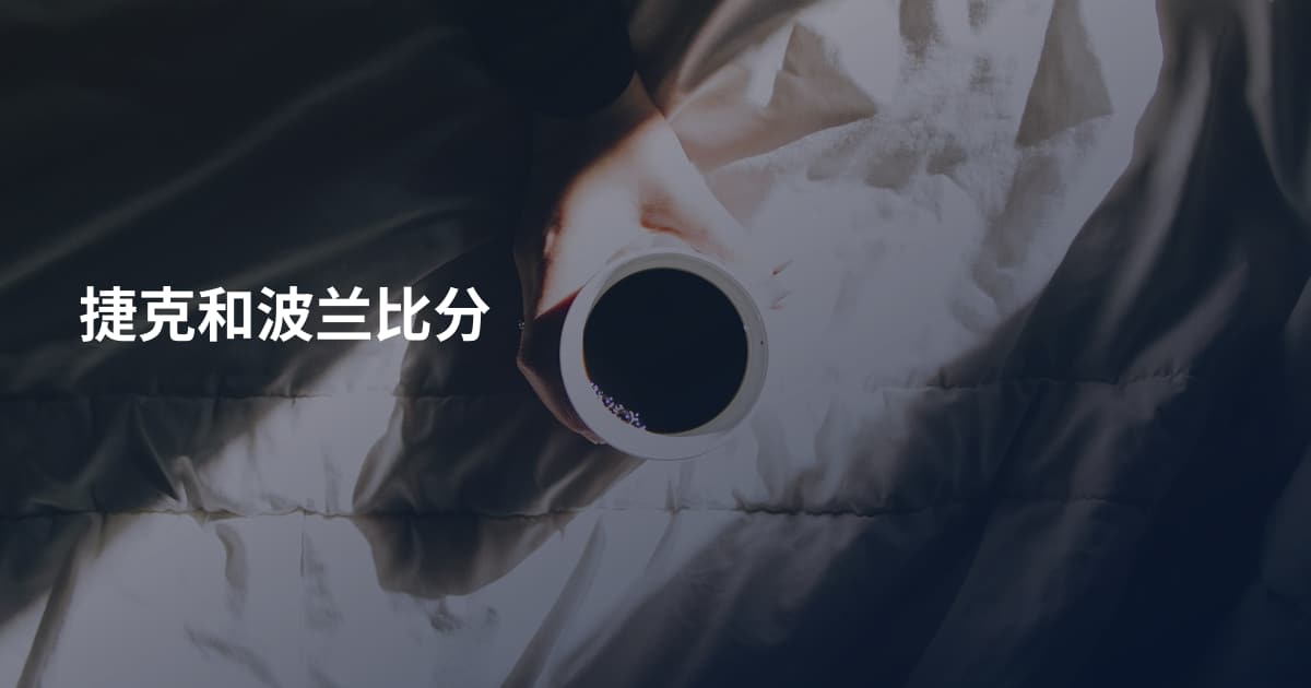 捷克和波兰比分
