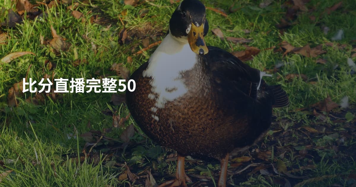 比分直播完整50