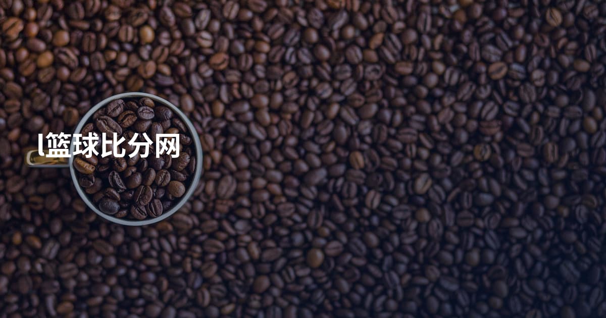 l篮球比分网