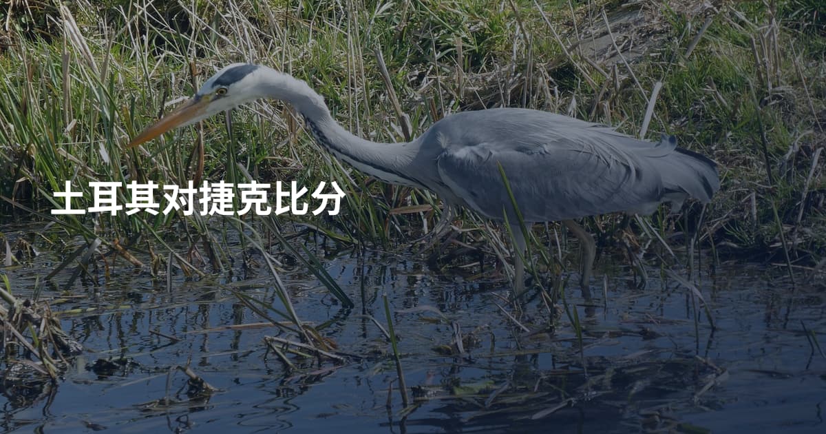 土耳其对捷克比分