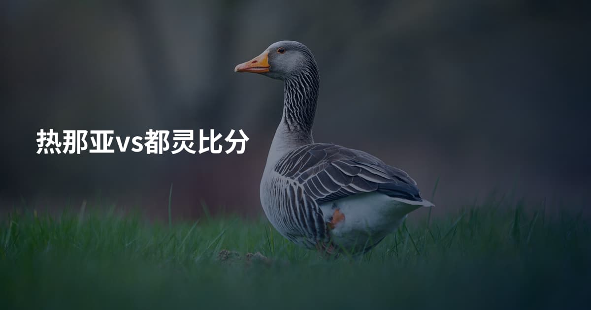 热那亚vs都灵比分