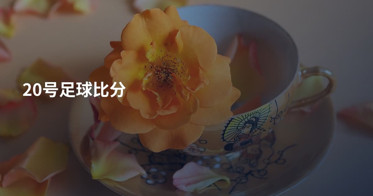 20号足球比分