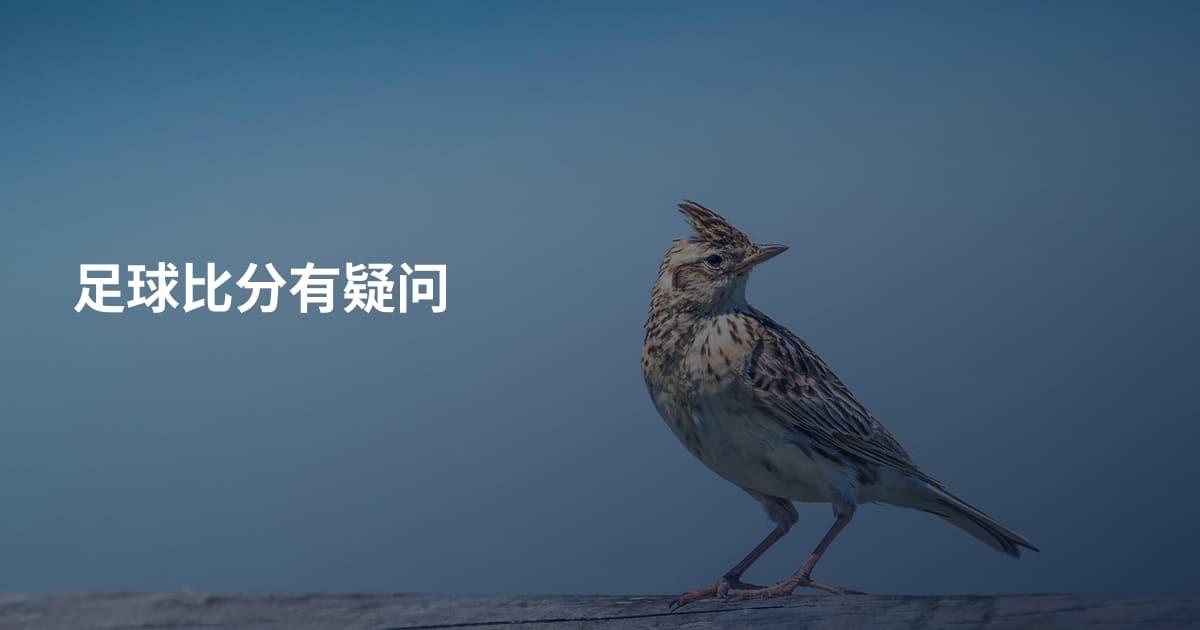 足球比分有疑问