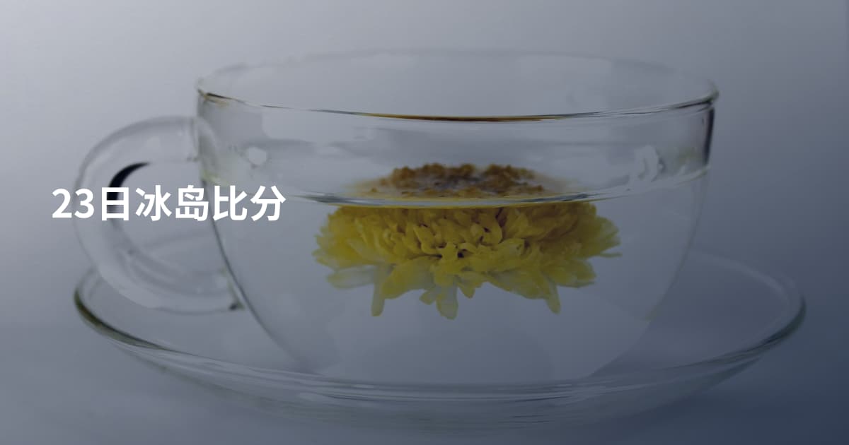 23日冰岛比分