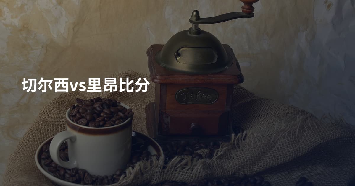 切尔西vs里昂比分