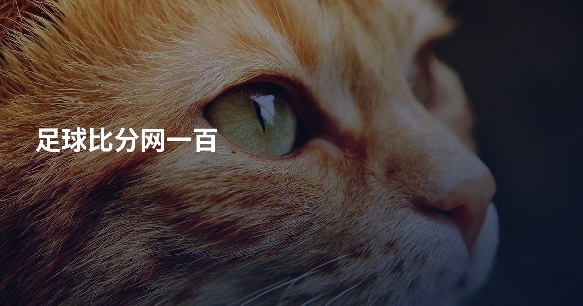 足球比分网一百