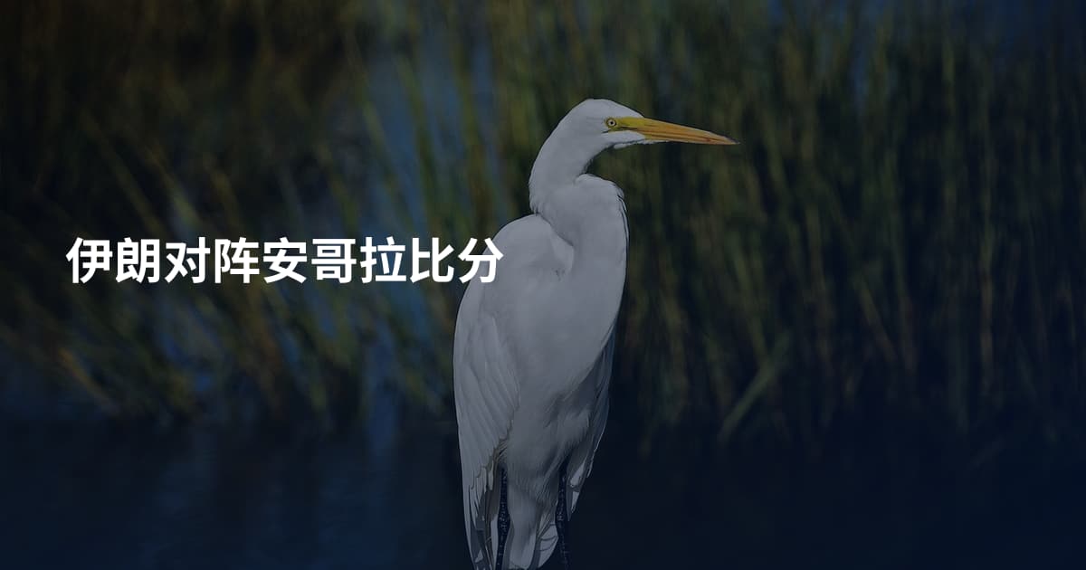 伊朗对阵安哥拉比分