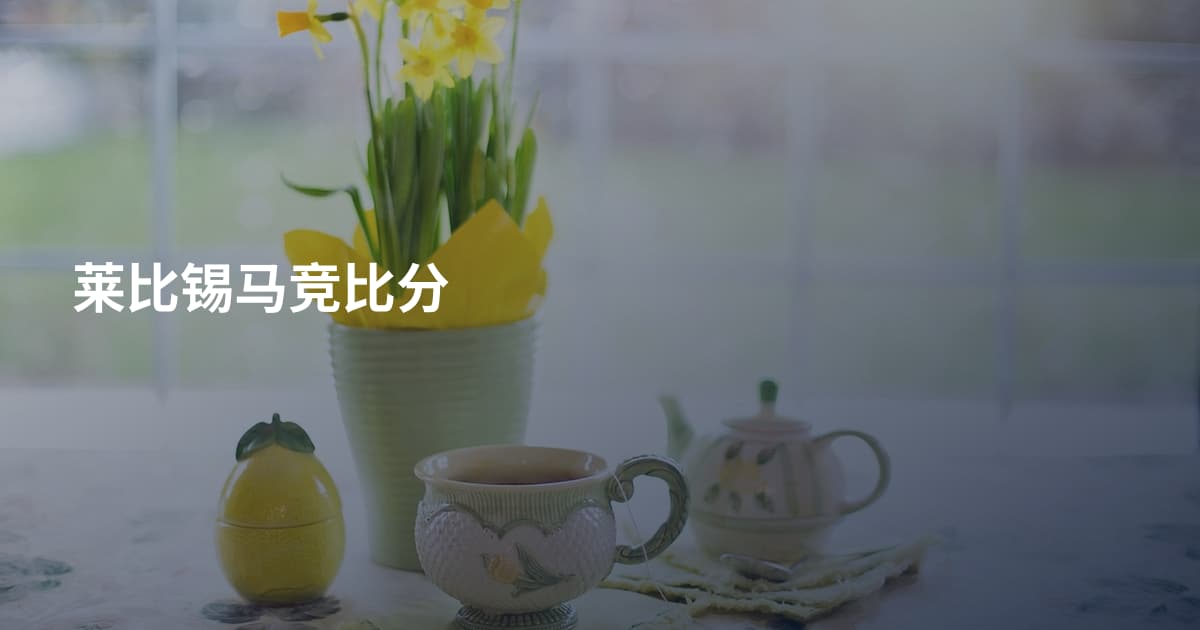 莱比锡马竞比分
