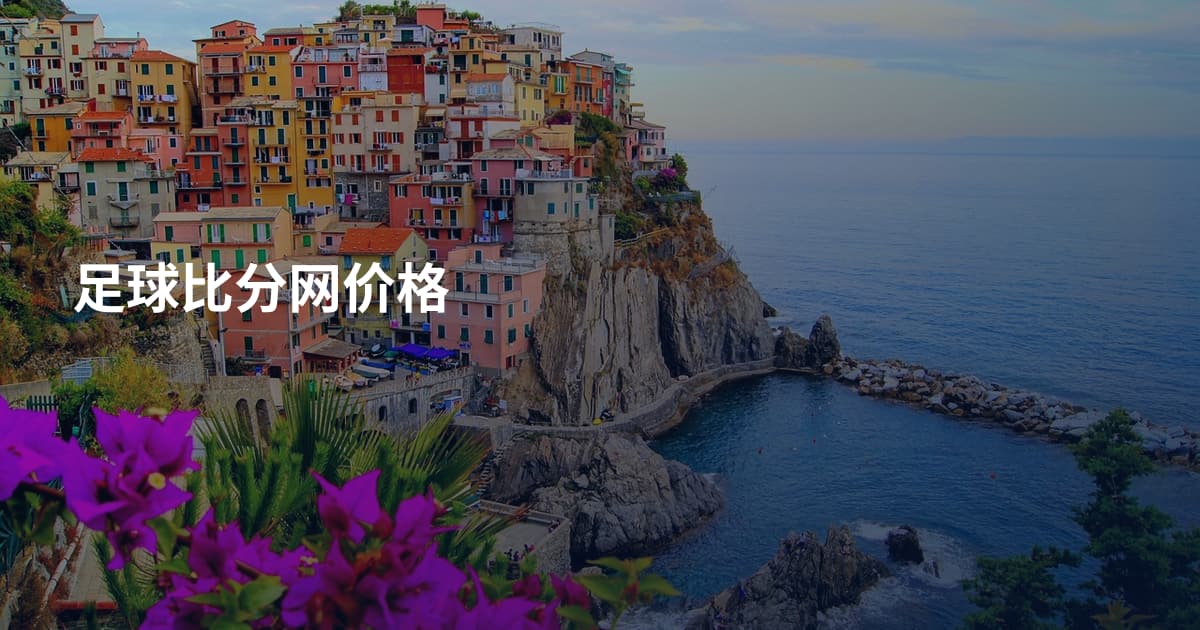 足球比分网价格