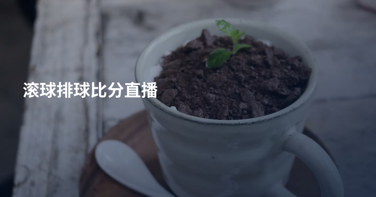 滚球排球比分直播