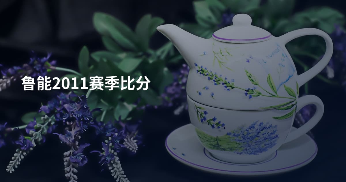 鲁能2011赛季比分