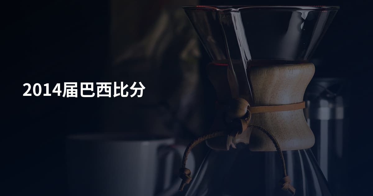 2014届巴西比分