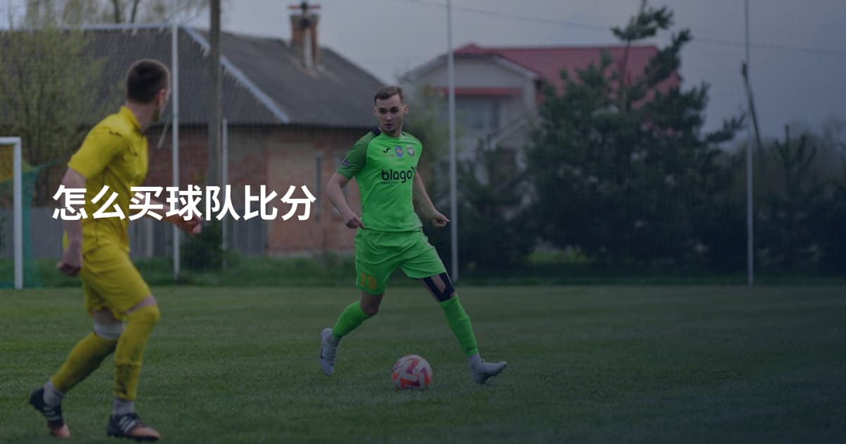 怎么买球队比分
