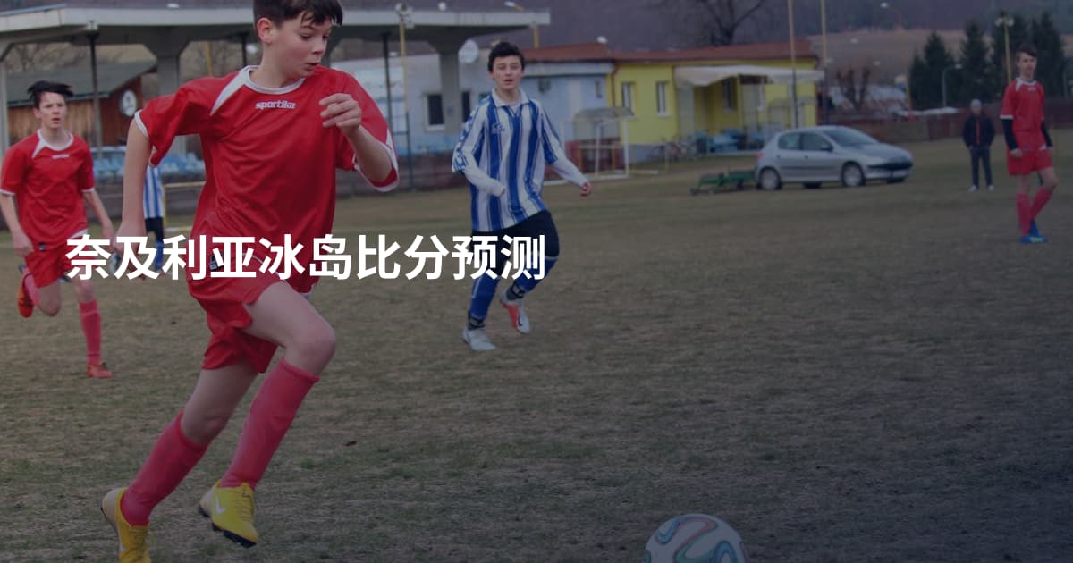 奈及利亚冰岛比分预测